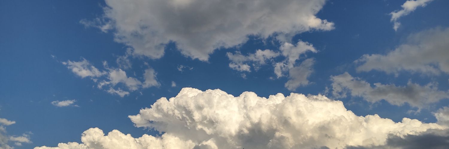 レピピ@取引垢 banner