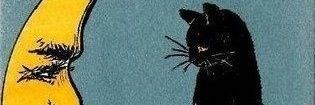 braxtonyborg's profile banner image