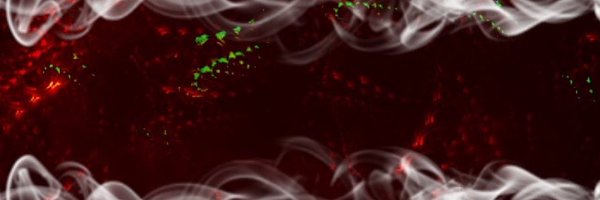 StillJaye Profile Banner