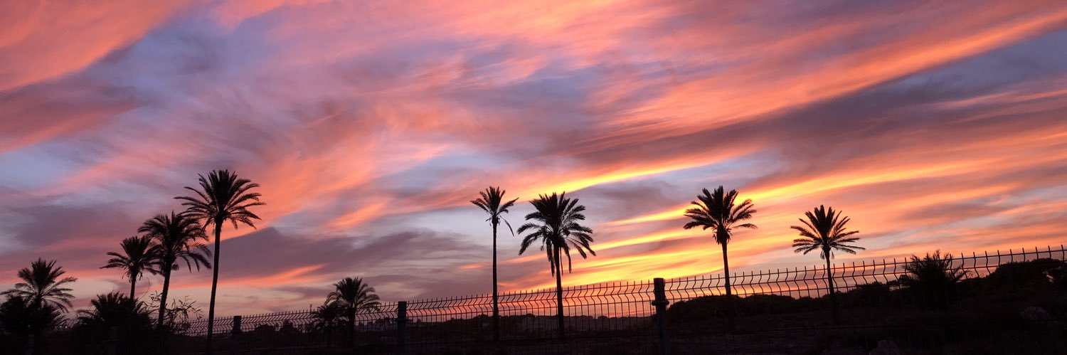 _carlasc_'s profile banner image
