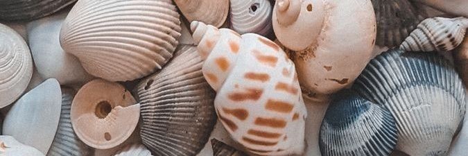 julycsup24's profile banner image