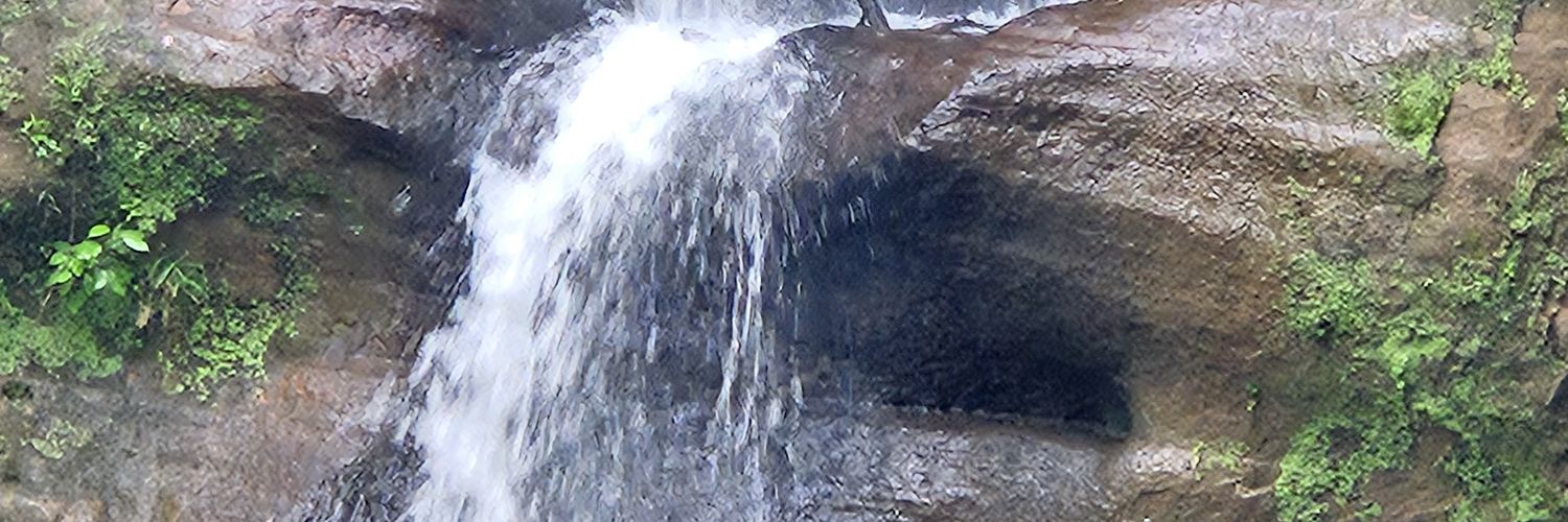 devilchef1's profile banner image