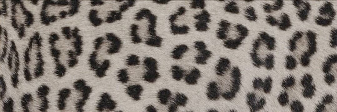 t. banner