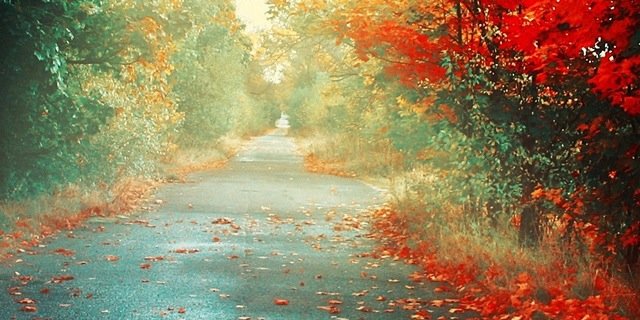 rajibul143's profile banner image