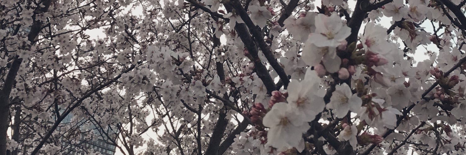 a_ren8's profile banner image