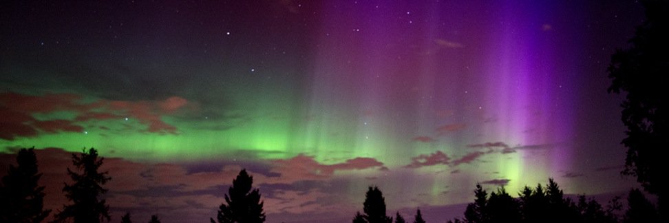 WildReflections's profile banner image