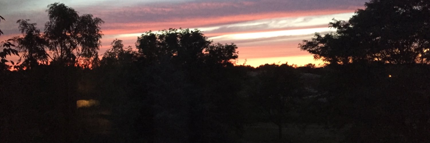 StephBirch2's profile banner image