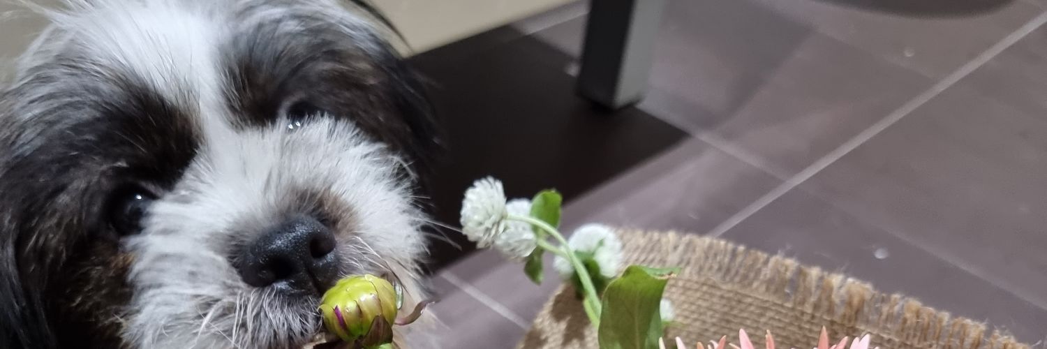 Ajay Narain Mathur banner