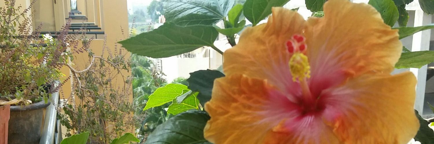 EatMy's profile banner image