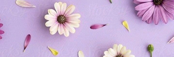 WilliamsFabi's profile banner image