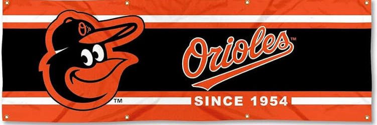 fanaticdave's profile banner image