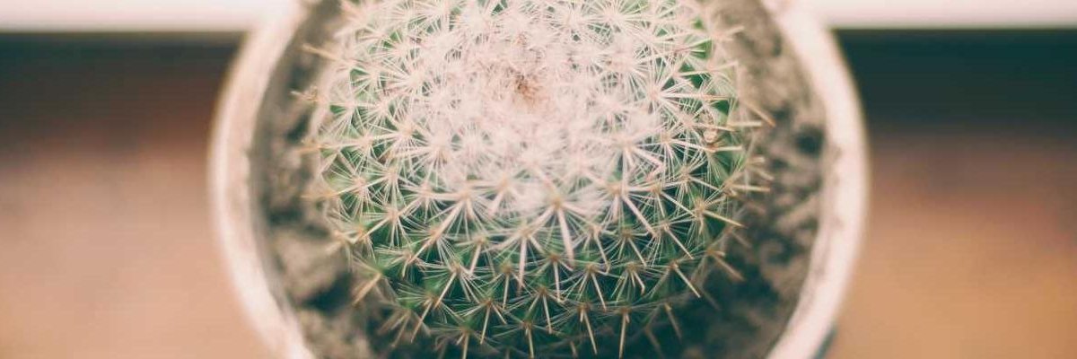 victorbren32144's profile banner image