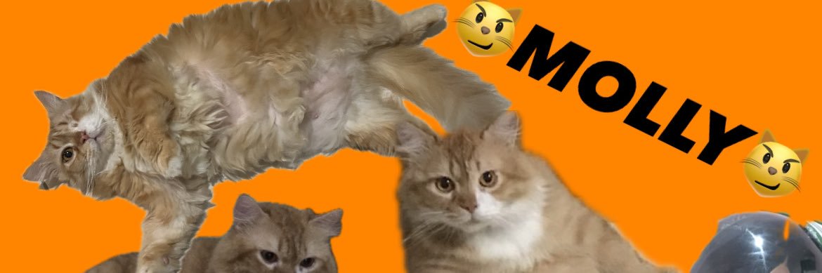 skitcch18's profile banner image