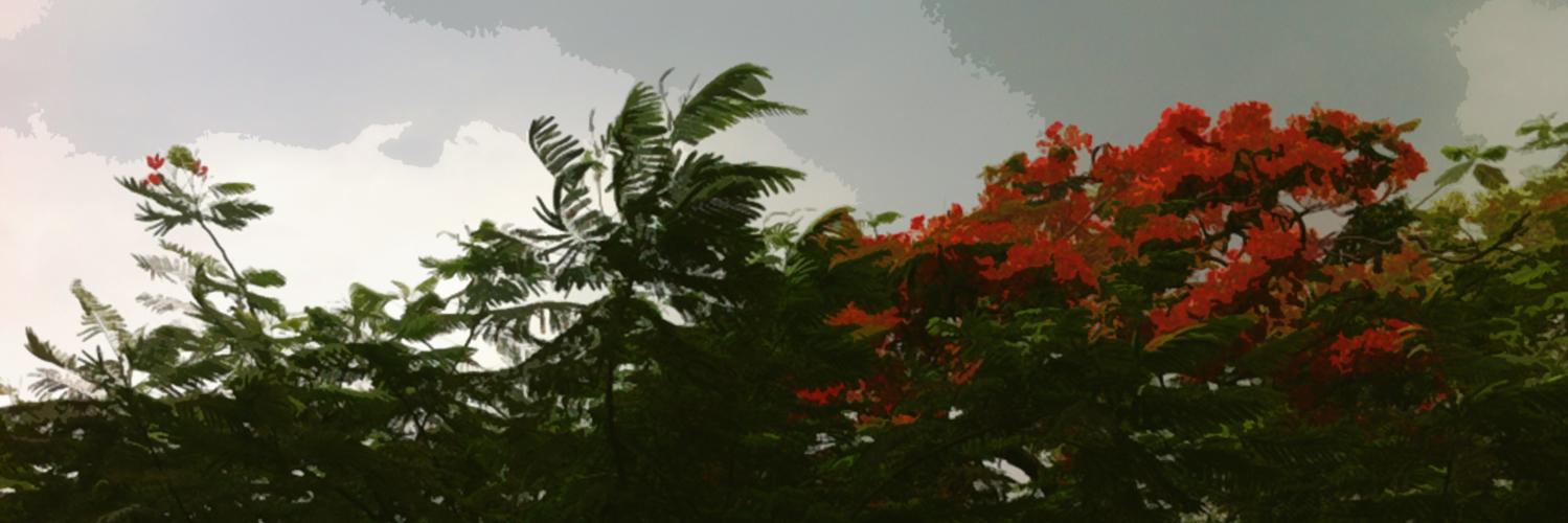 madgg's profile banner image