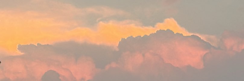 wcsdm's profile banner image