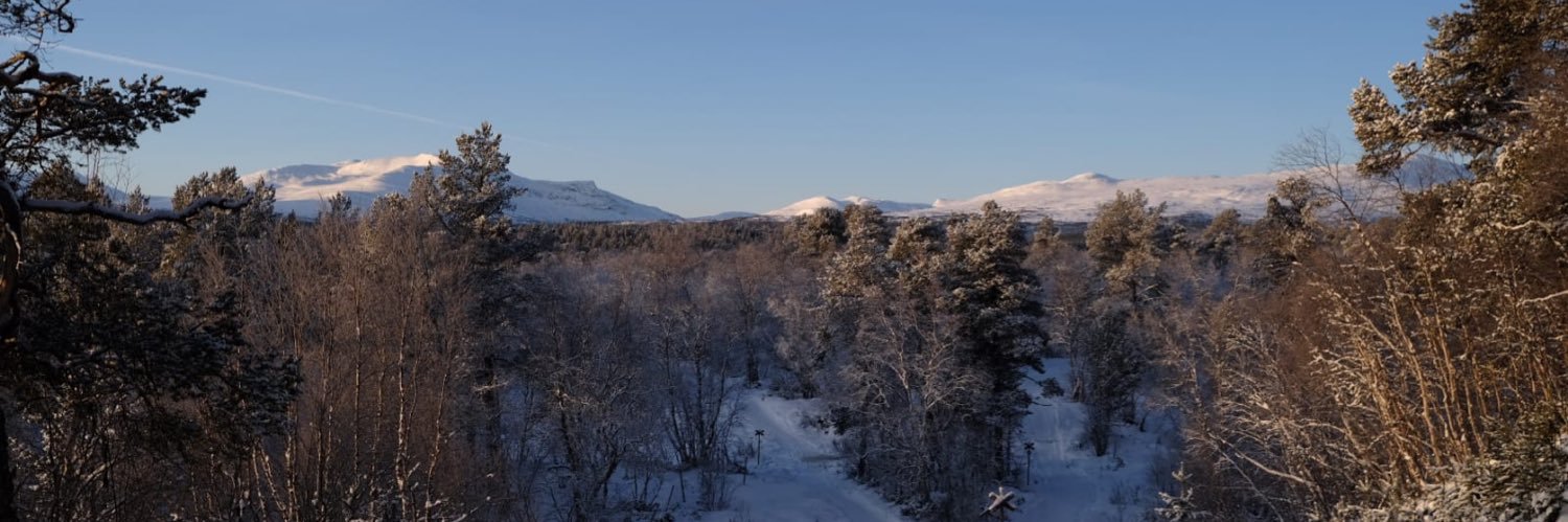 Dr. Emily Hofstetter banner