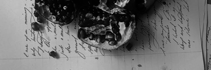 NYALA SAMERTA. banner