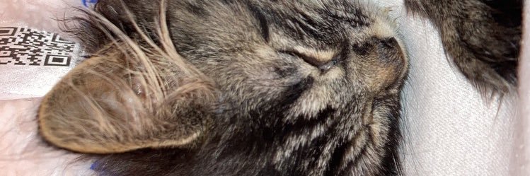 Superpants25's profile banner image