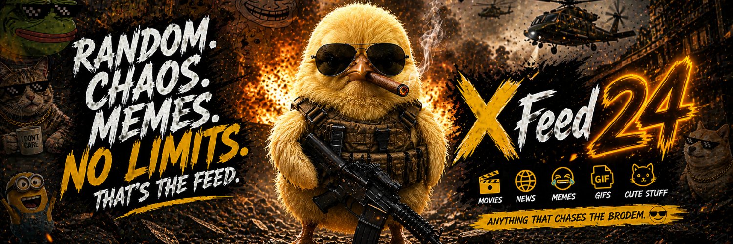Xfeed24 banner