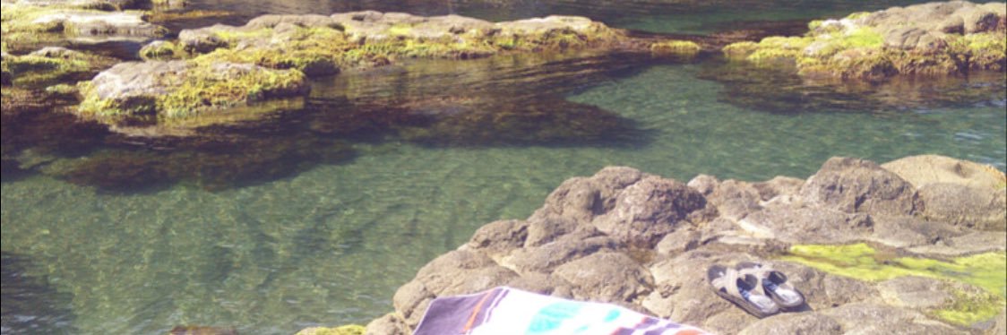 Alkan Dönmez banner