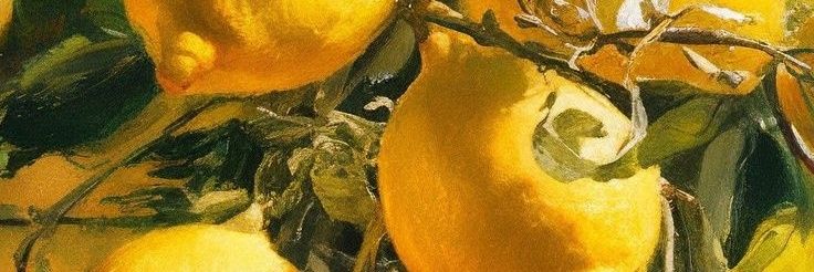 🐲 banner