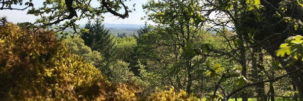 eamilnes Profile Banner