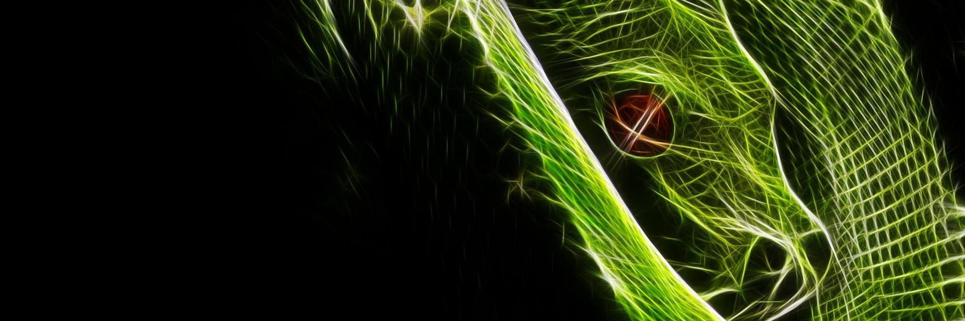 David Barbion 🐧 @davidb2111@mastodon.social banner