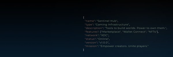 hub_sentinel Profile Banner