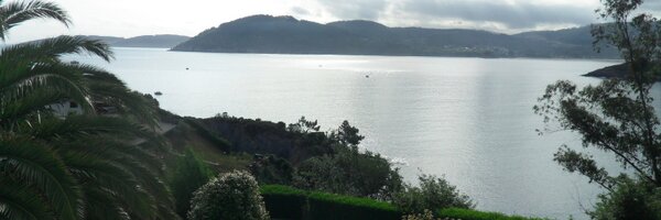 CALDirector Profile Banner