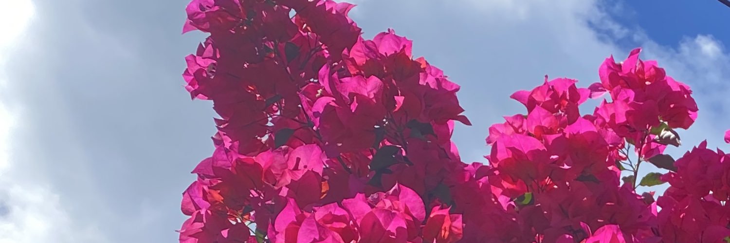 AngelaMoGui's profile banner image