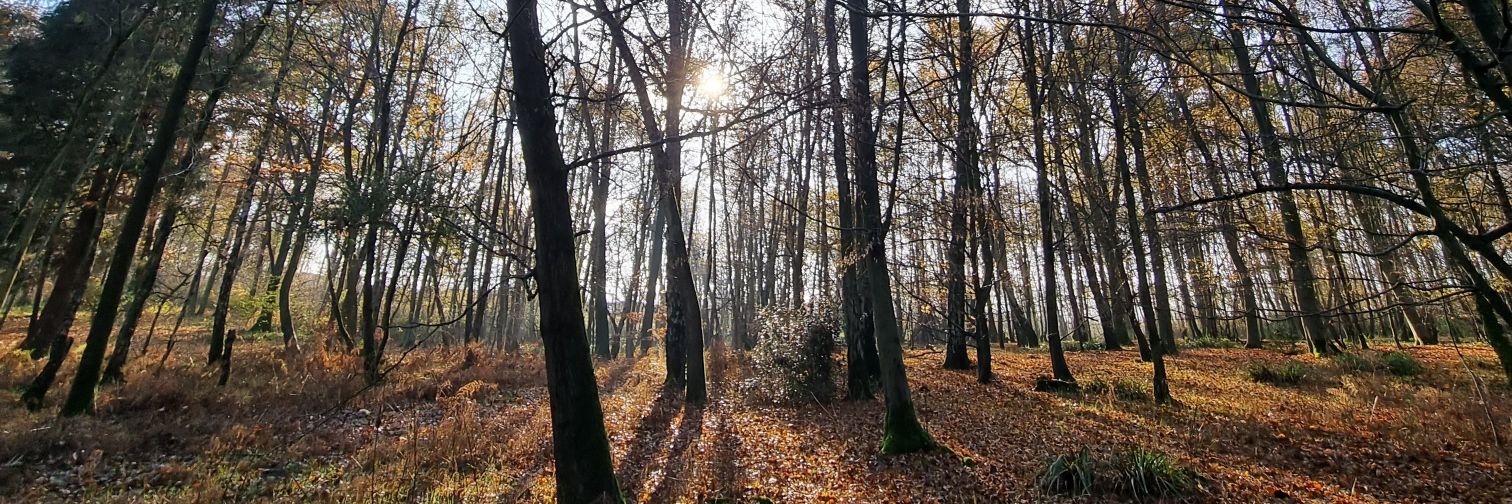 KelzAx (LinksGeekGal) banner