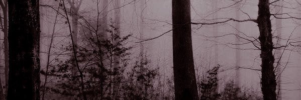 𝑹𝒂𝒑𝒉𝒂𝒆𝒍 🦇 ALT banner