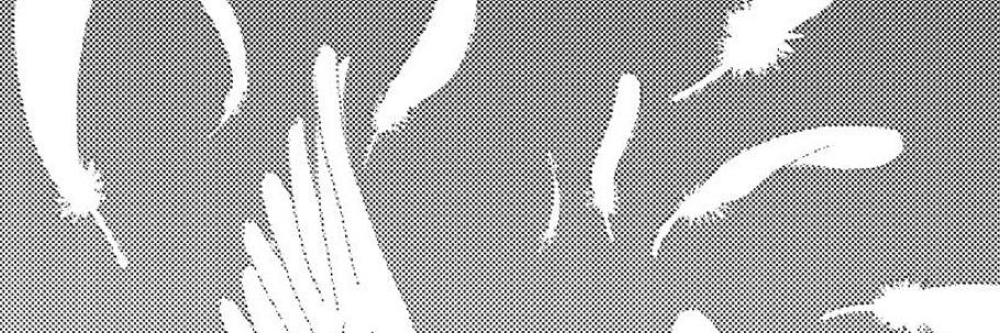 9xddess's profile banner image