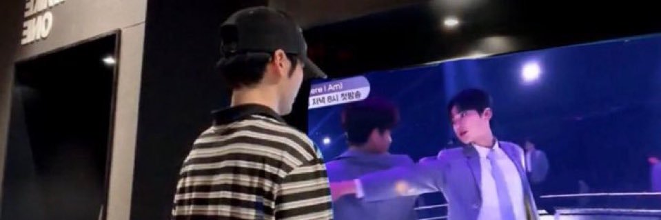🦭 banner