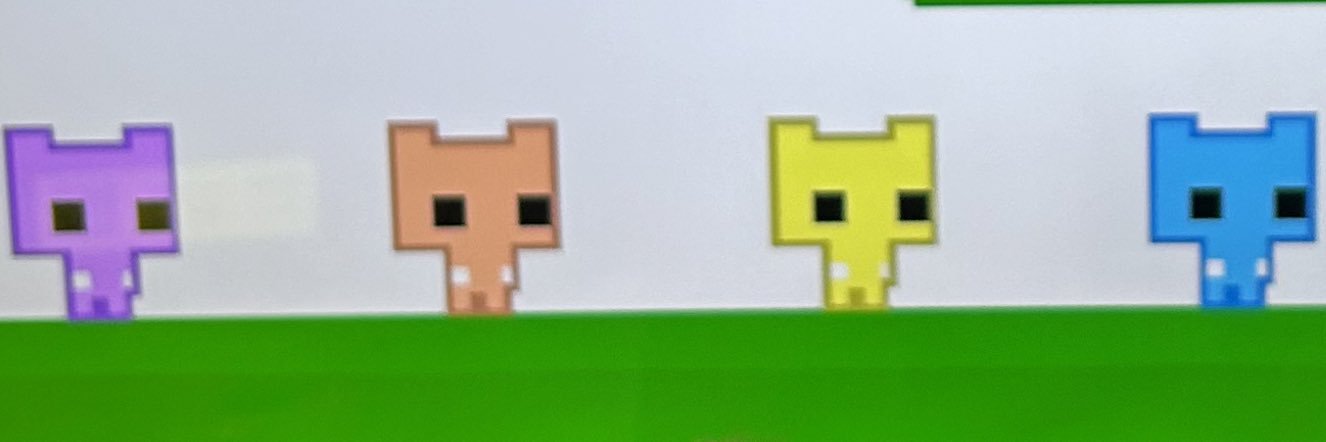 du_echo_du's profile banner image