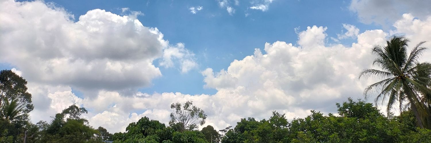 lylin29's profile banner image
