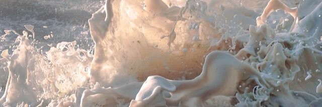 vixirnia's profile banner image