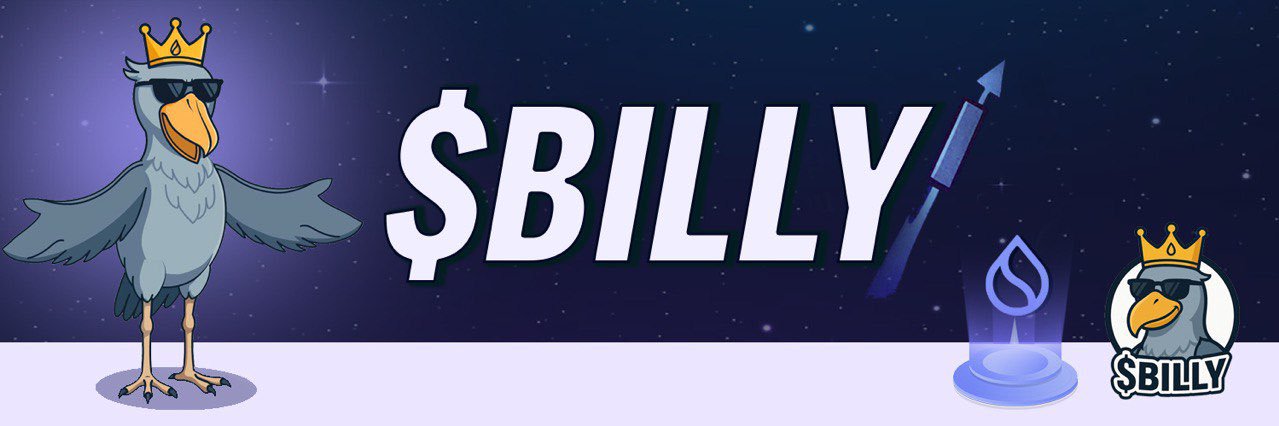 Billy on Sui banner