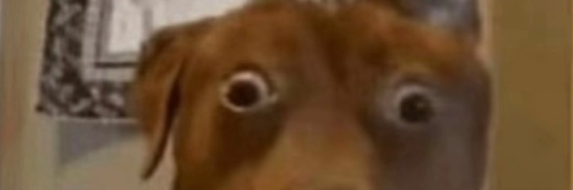 descartesvemaskesi banner