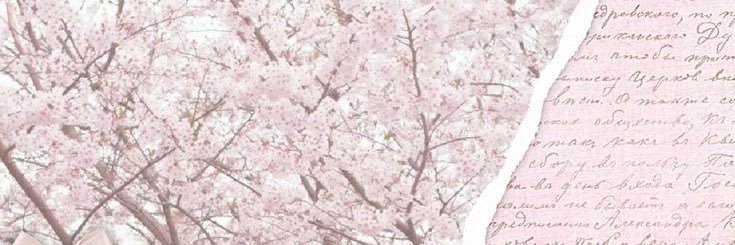 doepibbcess's profile banner image