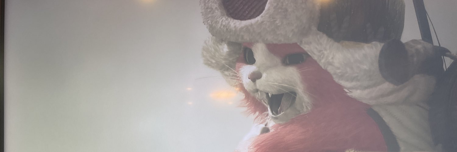 costy303's profile banner image