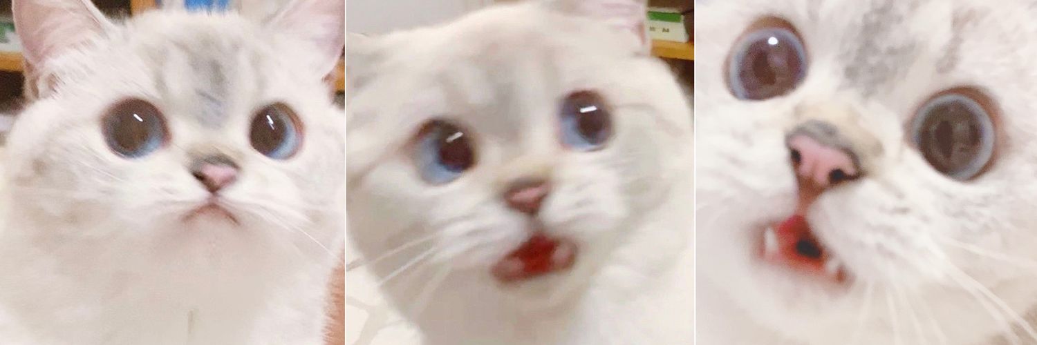 _fchmz's profile banner image