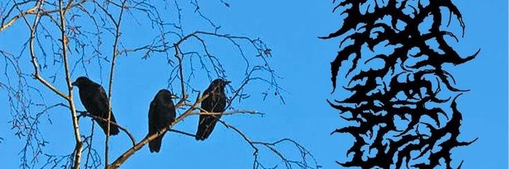Yetti_000's profile banner image