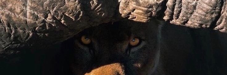 @ banner