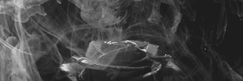 Neo_sds's profile banner image