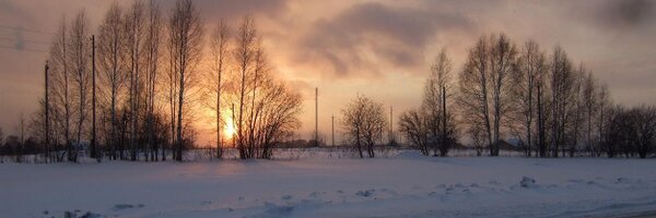 shevski Profile Banner