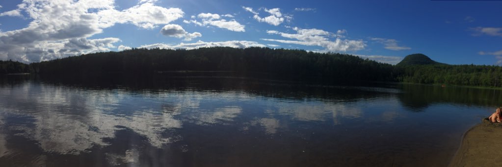 Shannon Ausfeld banner