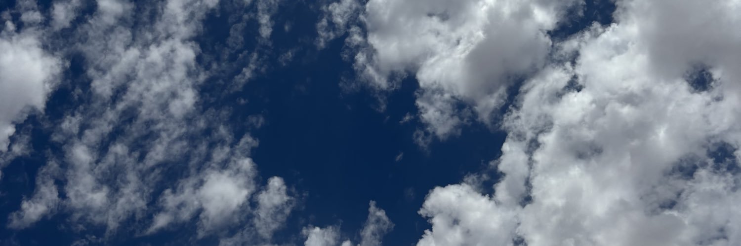 Texas ✯ banner