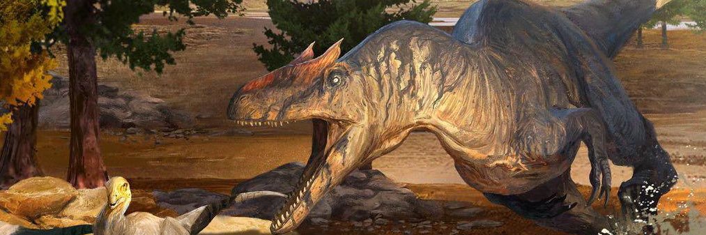 Mike 🇸🇻 banner