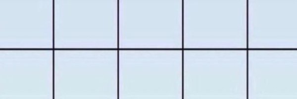 cheyenneerika Profile Banner